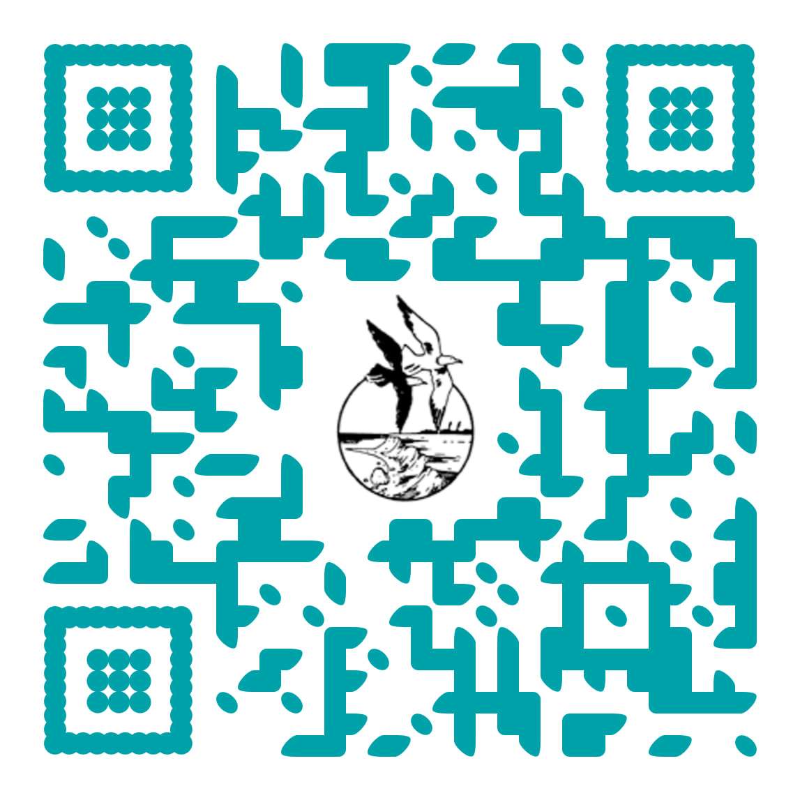 Webdesign Hamburg Northbay - Webdesign cropped-photo QR-Code natur und Heimat-Design Coaching