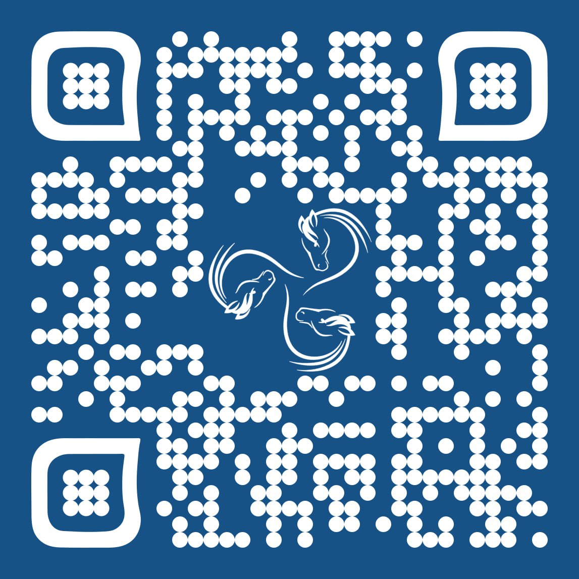 Webdesign Hamburg Northbay QR-Code - Horsemanway