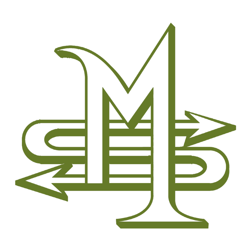 WEBDESIGN Hamburg : Maurice-Schulz Logo